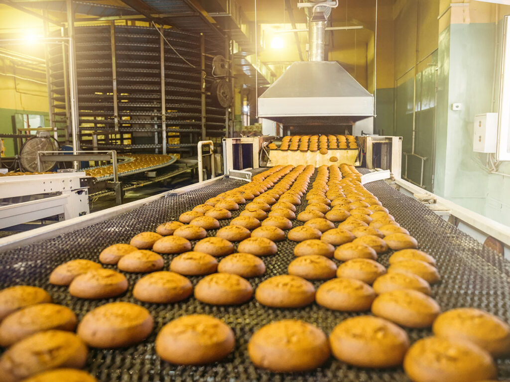 Cakes on automatic conveyor belt or line, process of baking in confectionery culinary factory or plant. Food industry, cookie and other sweet breadstuff production. Close up