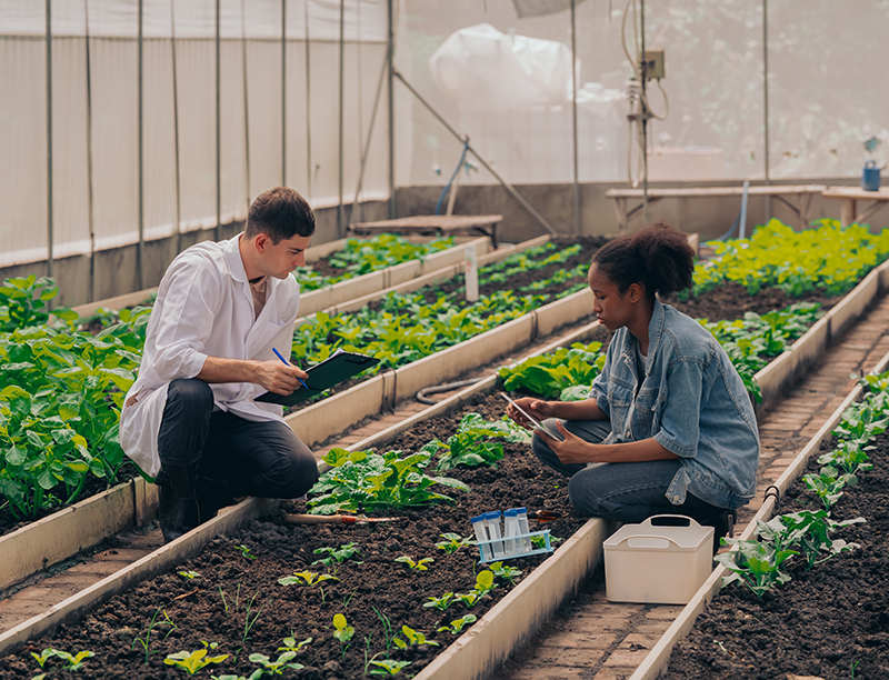 Teachers and students test and research soil for agriculture, fa